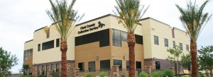 Clark County Collection Service